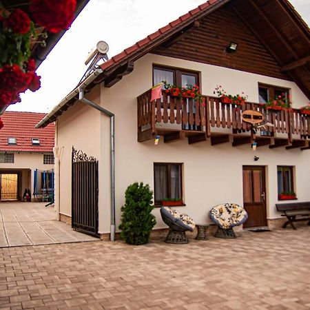 Casa Iancu Hotel Jina Eksteriør billede