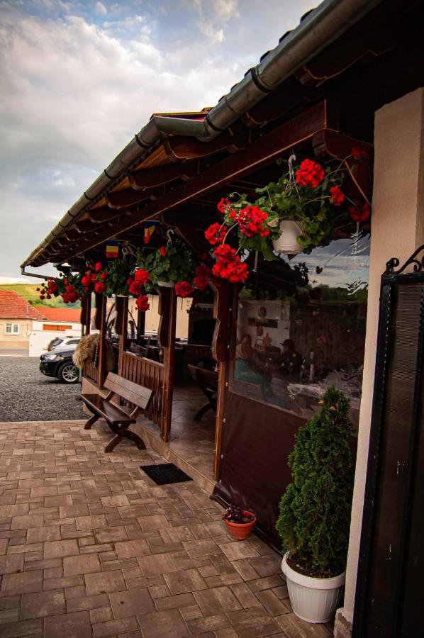 Casa Iancu Hotel Jina Eksteriør billede
