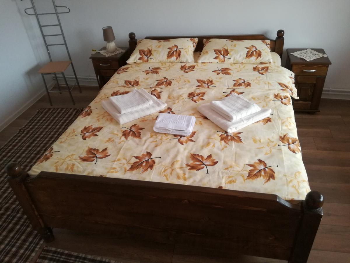 Casa Iancu Hotel Jina Eksteriør billede