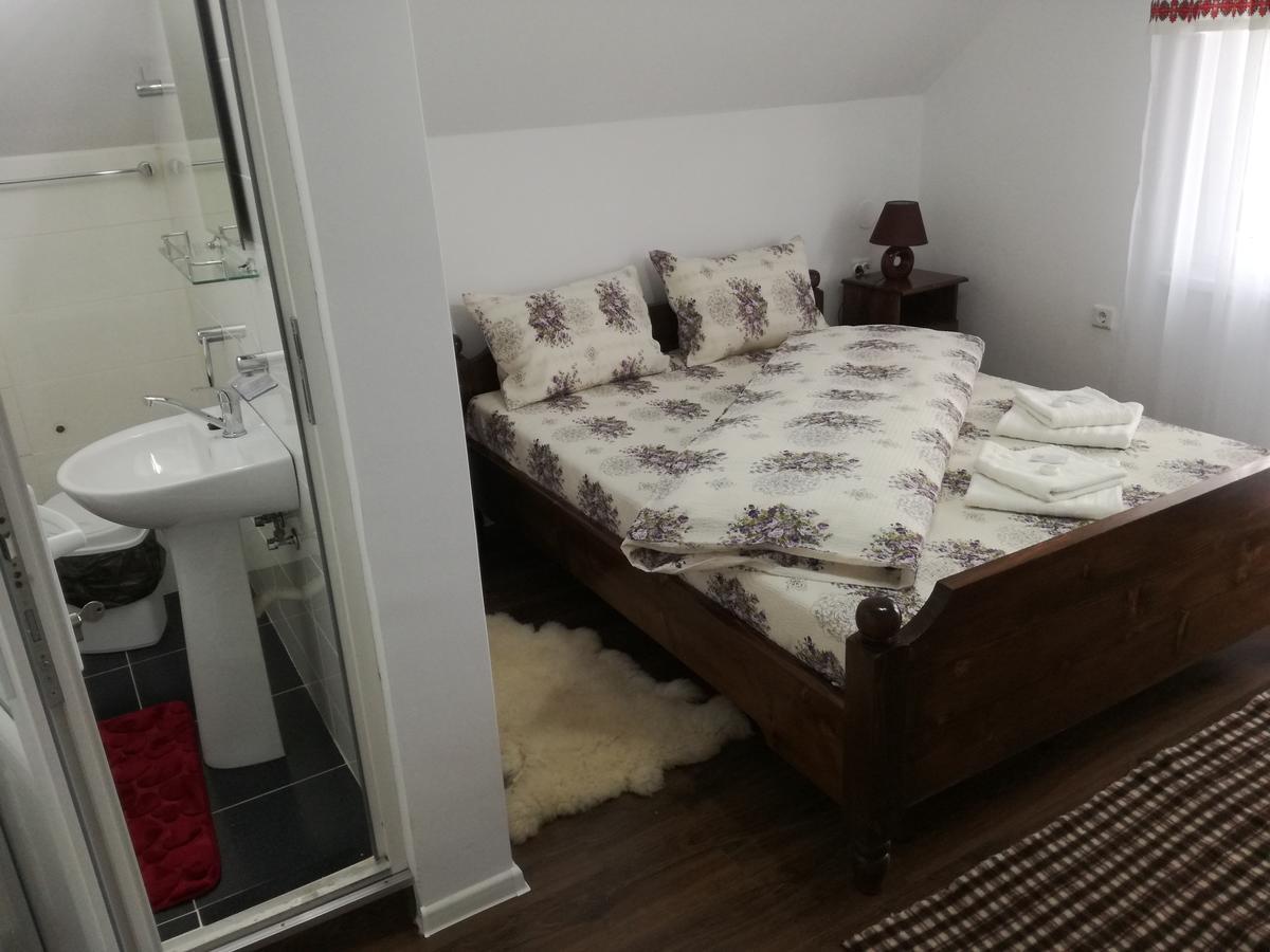 Casa Iancu Hotel Jina Eksteriør billede